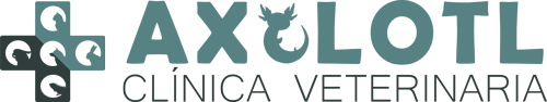 Axolotl